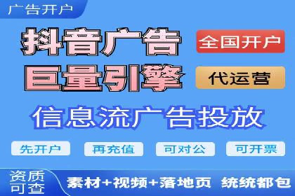 百度竞价广告投放策略：案例分析及效果评估